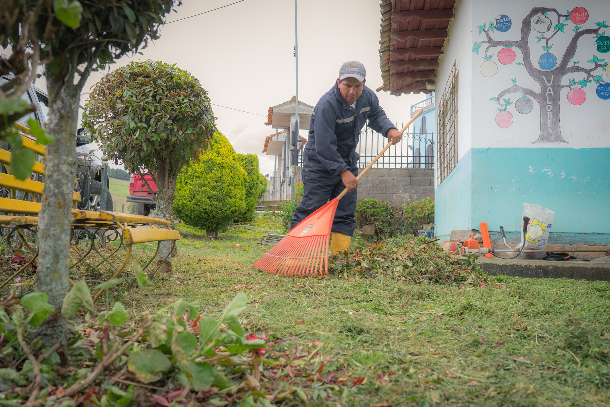 ARREGLO DE JARDINERAS ESCUELA CLEMENTINA ESPINOZA